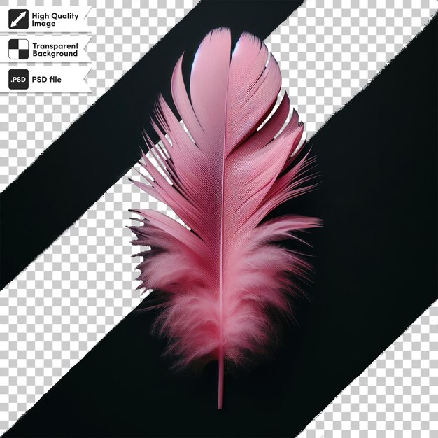 Pluma de psd en un fondo transparente