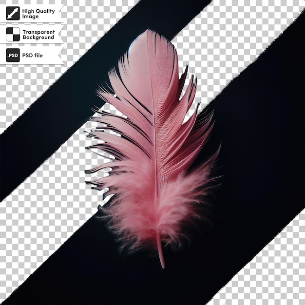 Pluma de psd en un fondo transparente