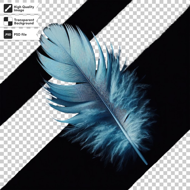 Pluma de psd en un fondo transparente