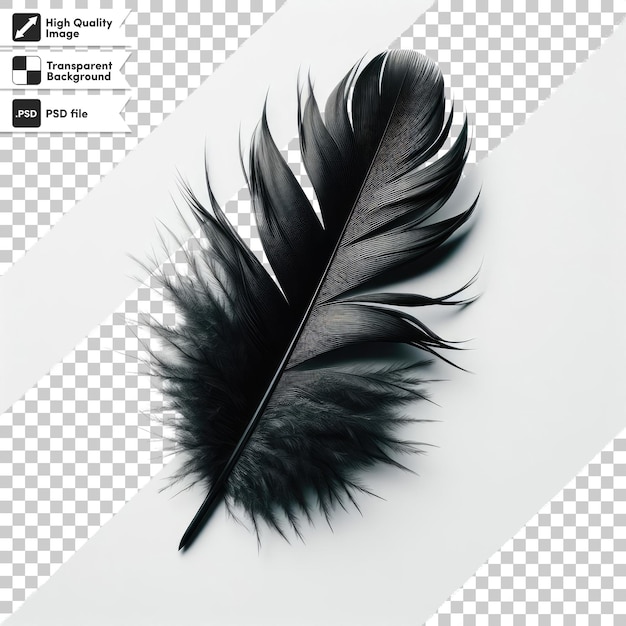 Pluma de psd en un fondo transparente