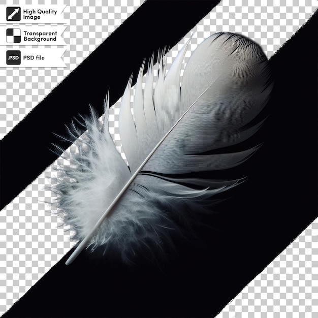 Pluma de psd en un fondo transparente