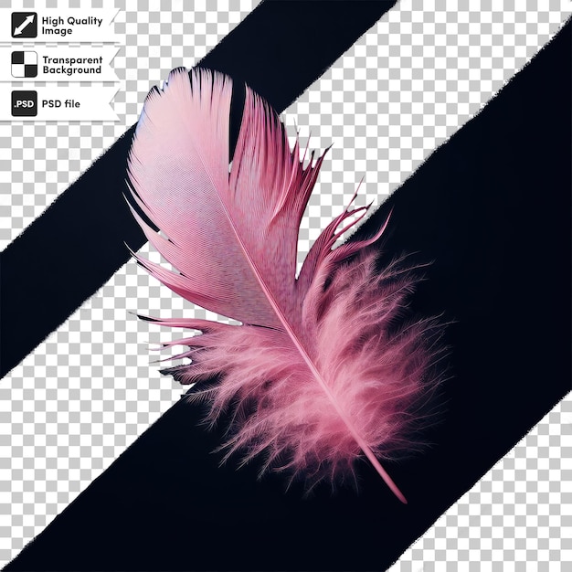 Pluma de psd en un fondo transparente