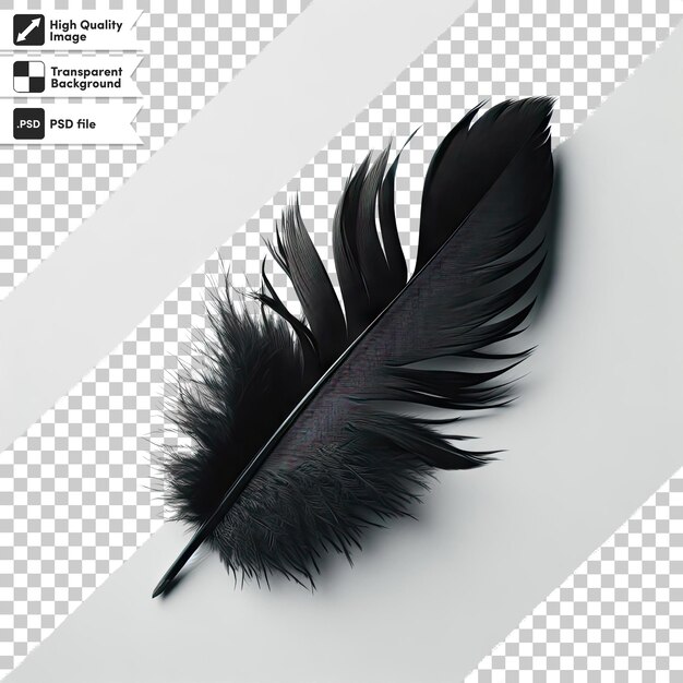 Pluma de psd en un fondo transparente