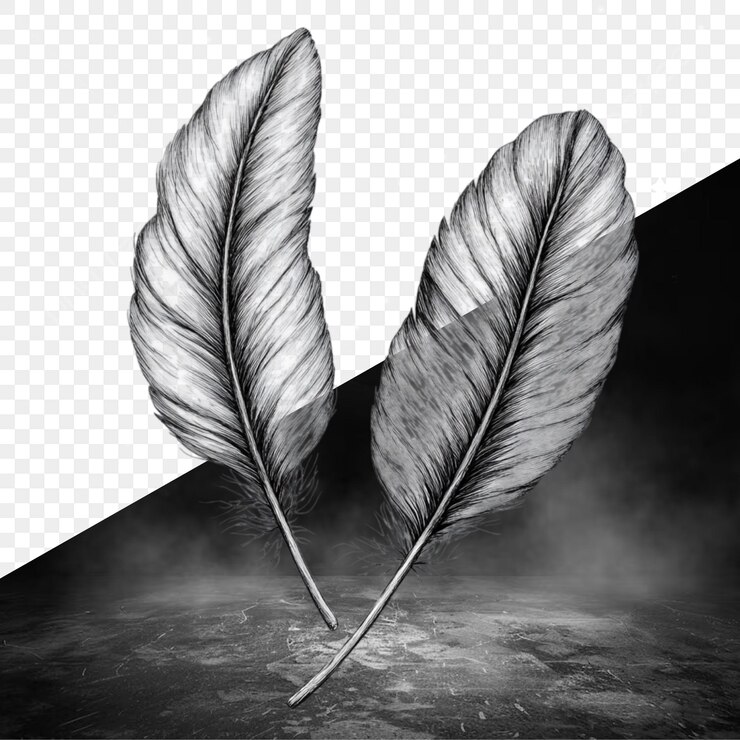 PSD una pluma que está en un fondo negro con las palabras quot pluma quot