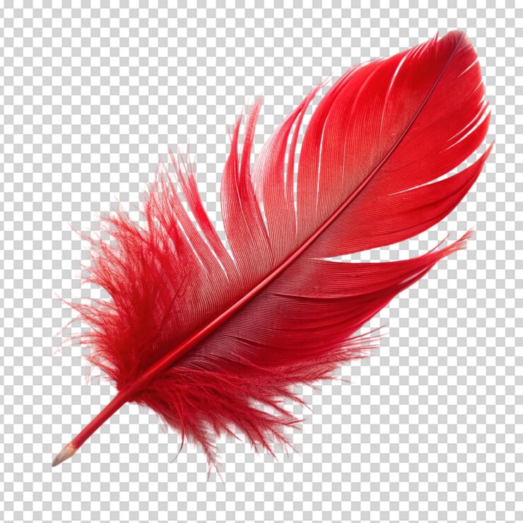 PSD pluma roja aislada sobre un fondo blanco