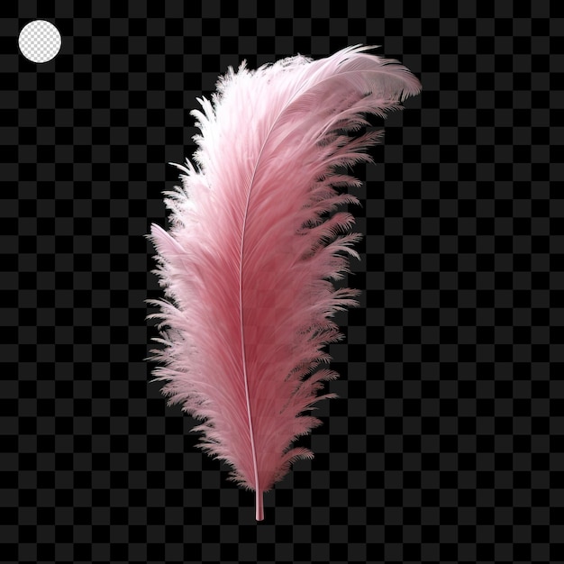 PSD pluma rosa aislada sobre fondo transparente png psd