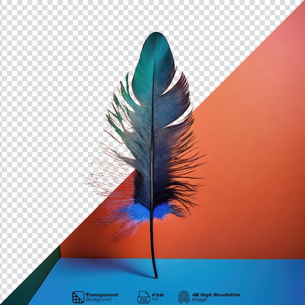 PSD las plumas adornan un aislado a la moda sobre un fondo transparente