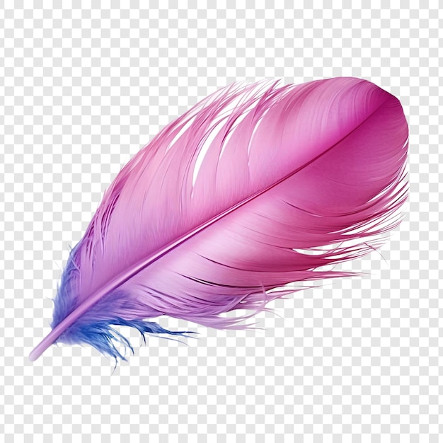 PSD las plumas adornan un aislado a la moda sobre un fondo transparente