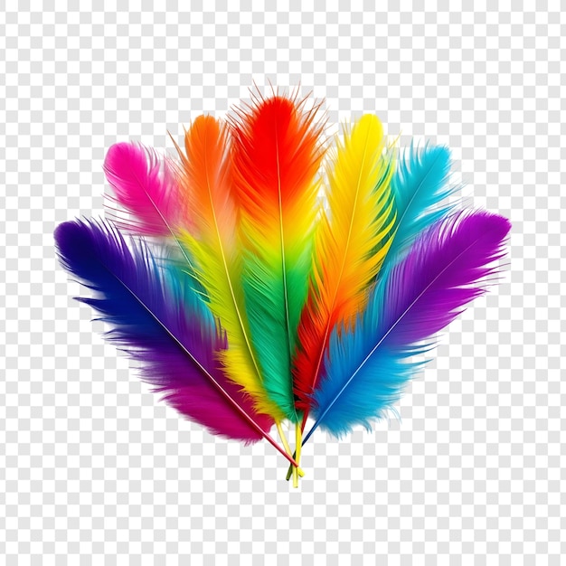 Las plumas del arco iris