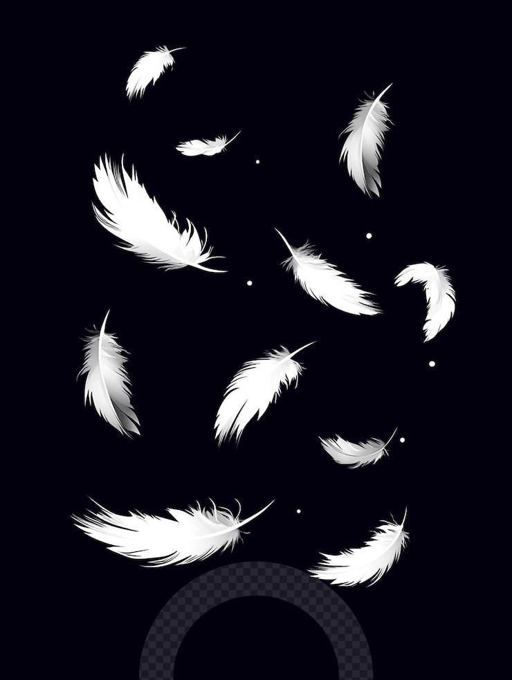 PSD las plumas blancas esparcidas sobre un fondo oscuro crean un efecto visual etéreo