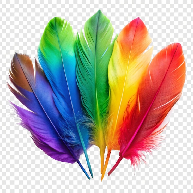 PSD plumas de colores aisladas sobre un fondo transparente