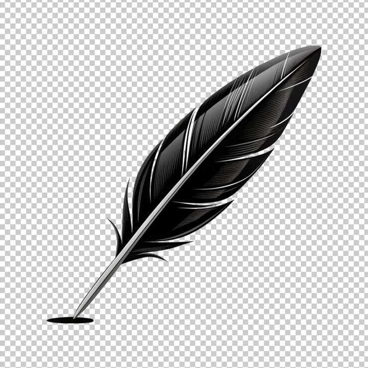 PSD las plumas de los pájaros blancas plumas negras máscara pluma de pavo realza un elegante aislado transparente