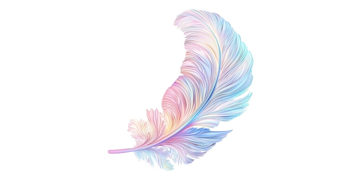 PSD une plume douce aux couleurs dégradées isolée sur un fond transparent