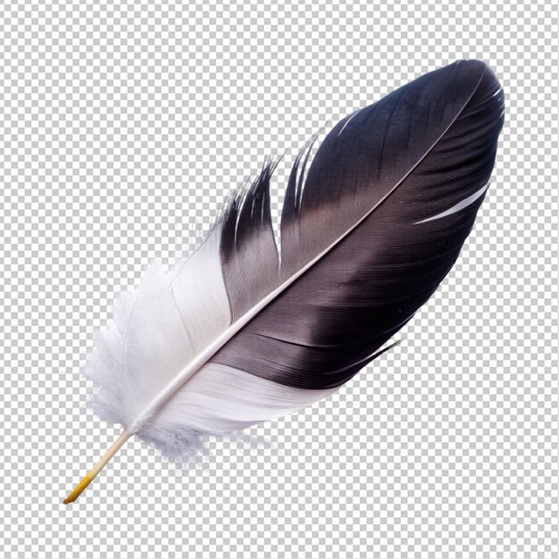 PSD plume noire et blanche sur fond transparent