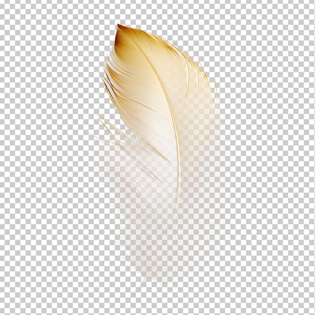 Plume En Png