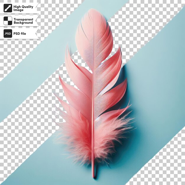 PSD plume de psd sur fond transparent