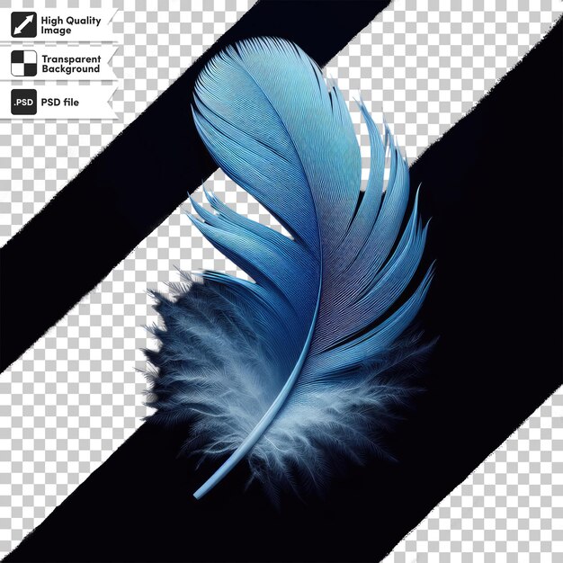 PSD plume de psd sur fond transparent