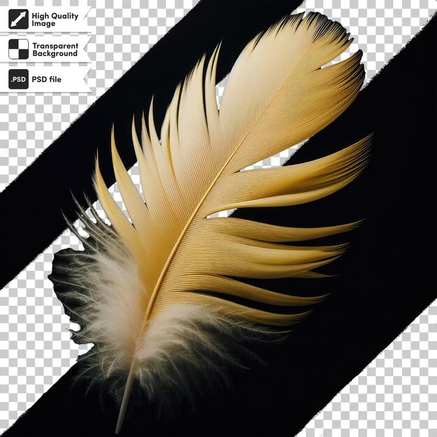 Plume De Psd Sur Fond Transparent