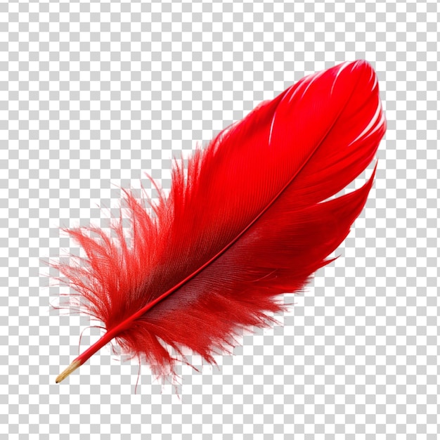 PSD plume rouge isolée sur un fond transparent