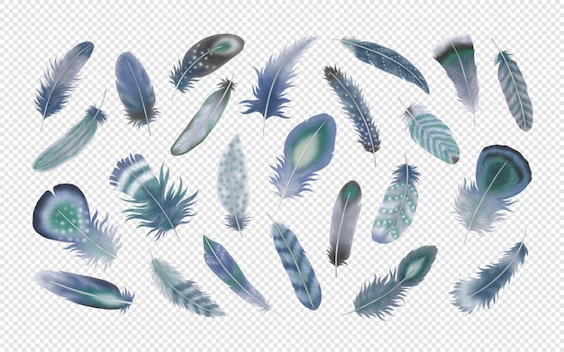 PSD plumes aquarelle clipart