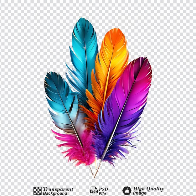 PSD plumes colorées isolées sur un fond transparent