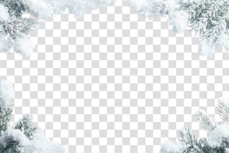 PSD png a snow border background winter vegetation
