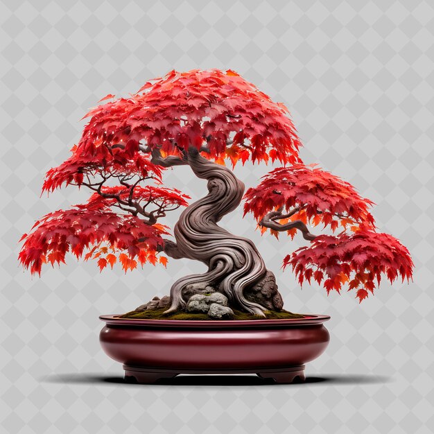 PSD png ahorn bonsai baum porzellan topf palmenblätter crimson thema transparente vielfältige bäume dekor