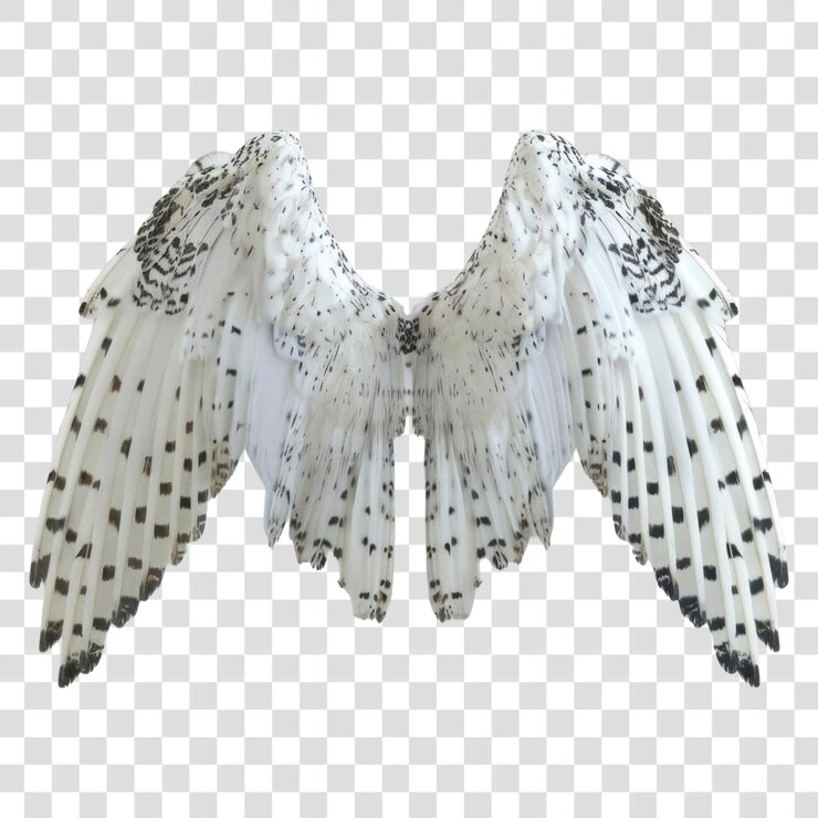 PSD png alas elegantes de búho blanco