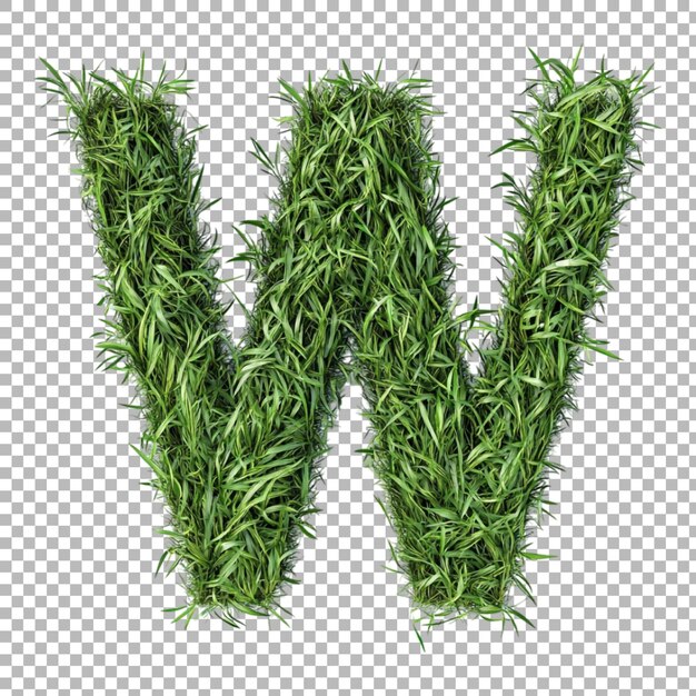 Png Alfabeto W en estilo de hierba aislado contra un fondo transparente para la naturaleza diseña marcas frescas o aplicaciones de tipografía ecológicas