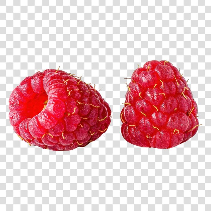 PSD png algunas plantas frutales de frambuesa