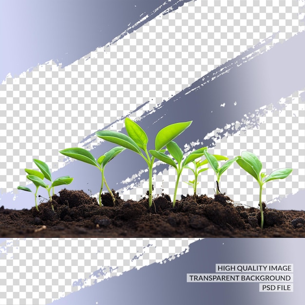 PSD png-anlage 3d-png-clipart durchsichtiger isolierter hintergrund