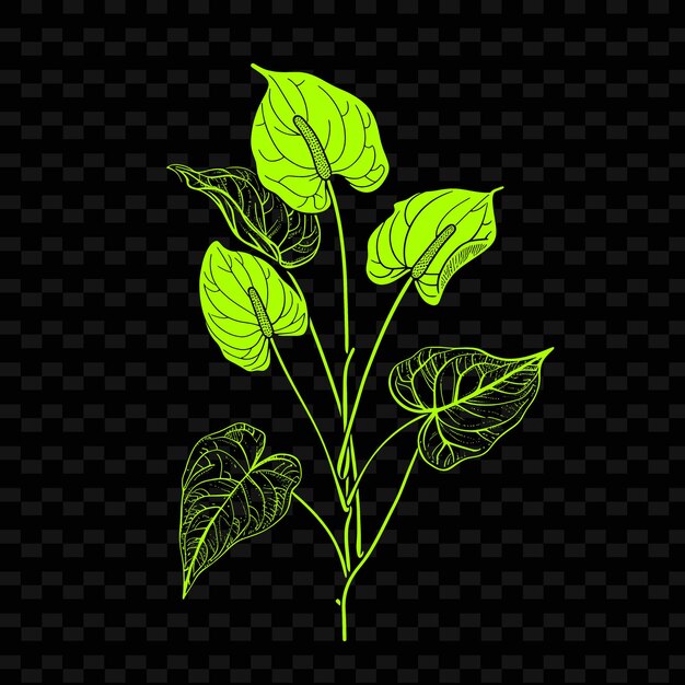 PSD png-anthurium-blüten mit sauberen schlampenformen und minimalen konturen von tierischen und tropischen blättern