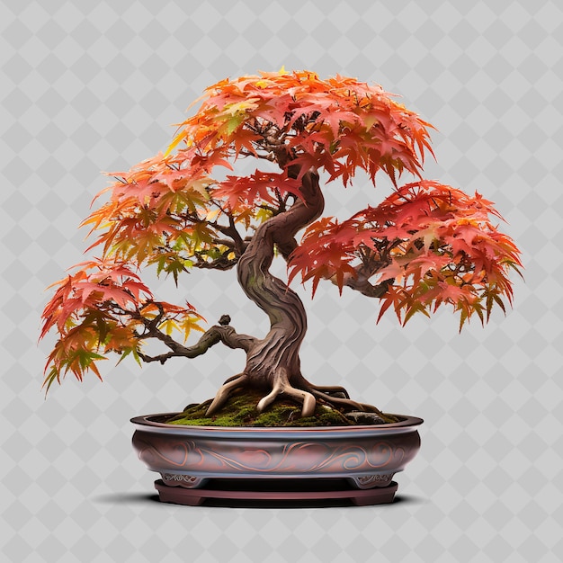 PSD png árbol bonsai de arce japonés olla de bronce hojas de palma antiguas árboles transparentes diversos decoración