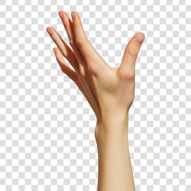 PNG Arte elegante de gestos com as mãos