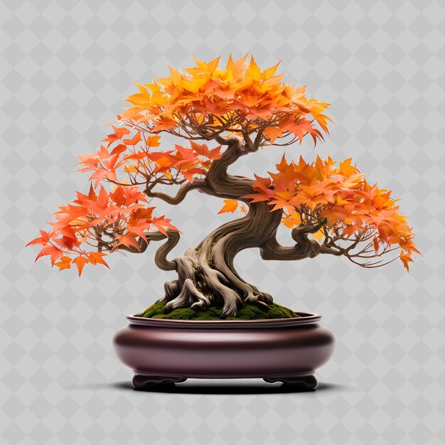 PSD png bonsai de arce en olla de porcelana hojas de palma de otoño con decoración de árboles diversos transparentes