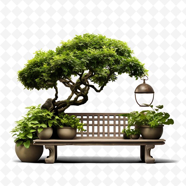 PSD png boxwood bonsai beton topf oblong blätter städtische oase konzept transparente vielfältige bäume dekor