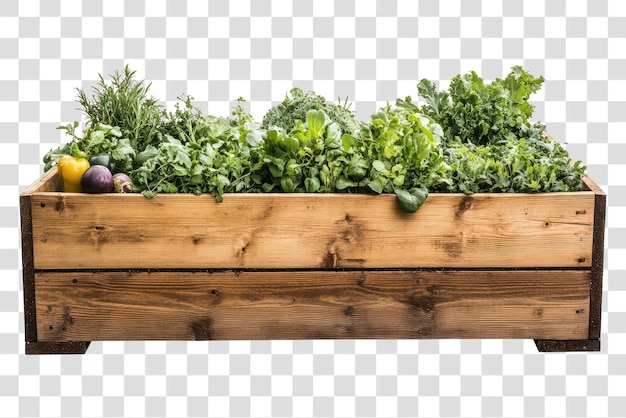 PNG Cama elevada de madera llena de varias verduras y hierbas caja natural de plantación