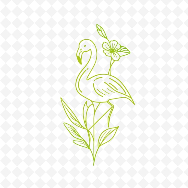 PSD png canna con contornos de flamenco y gráficos despojados con contornos florales animales y tropicales