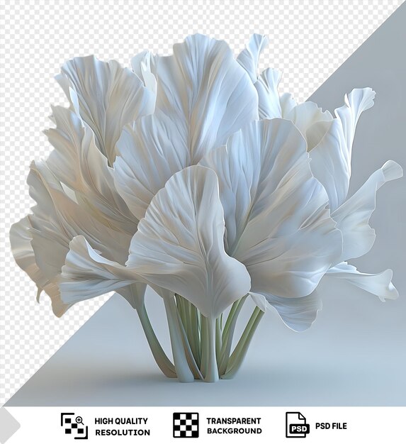 PSD png clipart de endivia de hojas anchas con una flor blanca con un tallo verde y un pétalo blanco png