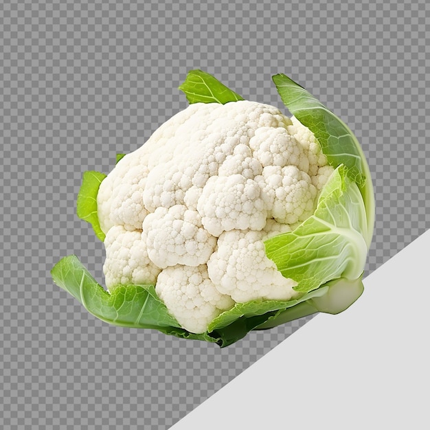 PSD png de coliflor aislado en un fondo transparente