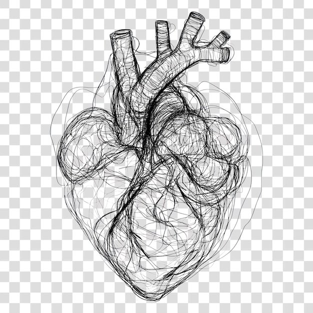 PNG coração humano desenhado à mão desenho doodle branco