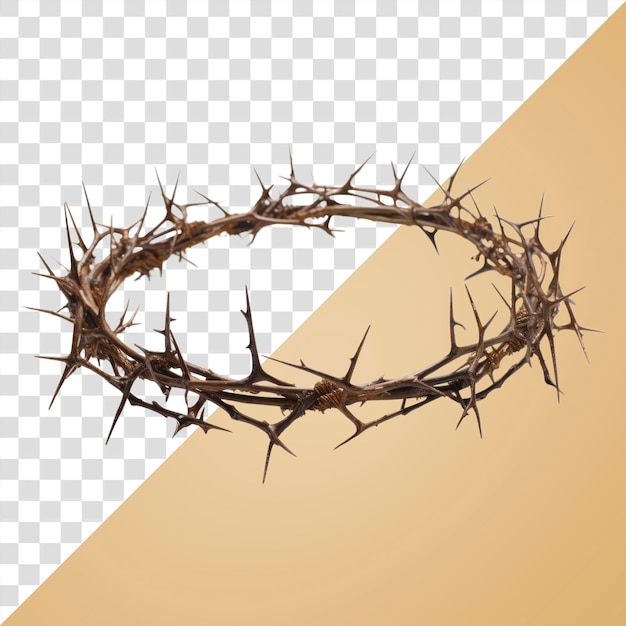 PNG Crown of Thorns Draht weißer Hintergrund Zubehör