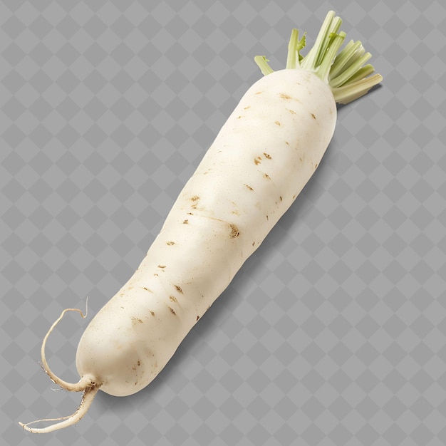 PSD png daikon wurzelgemüse längliche form, gekennzeichnet durch sein w isoliertes frisches gemüse