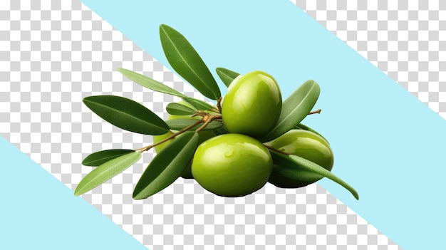 PSD png de azeitona verde isolada em fundo transparente