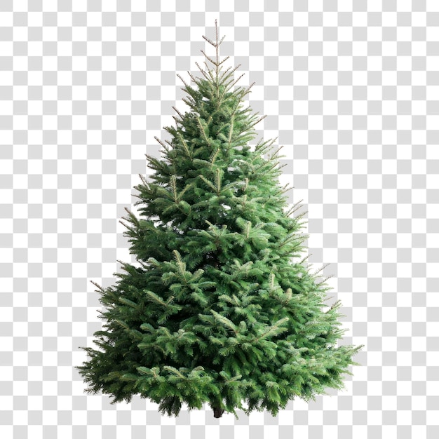 PNG Decorazione dell'albero di Natale Festival sempreverde