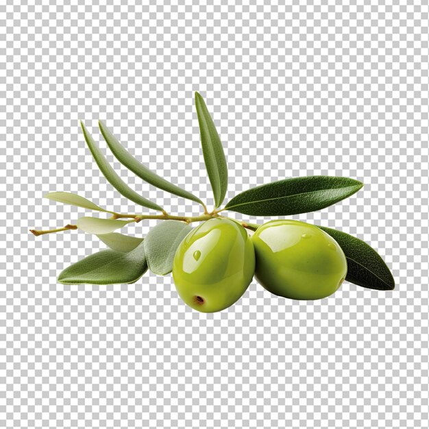 Png di olive isolate