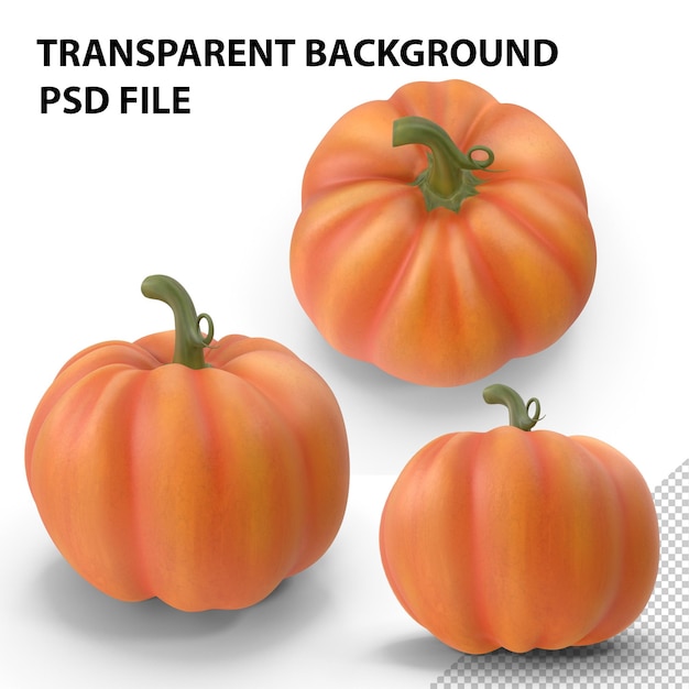 PNG di zucca dei cartoni animati
