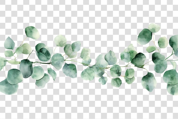 PNG Elegante acquerello foglie di eucalipto