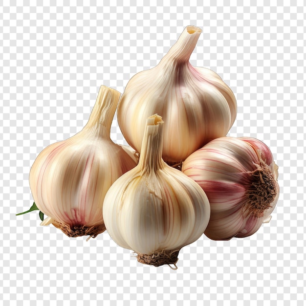 Png de estilo aislado de ajo con IA generativa de fondo blanco