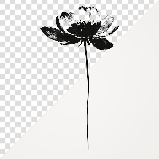 PNG Flor de margarita simple y negra